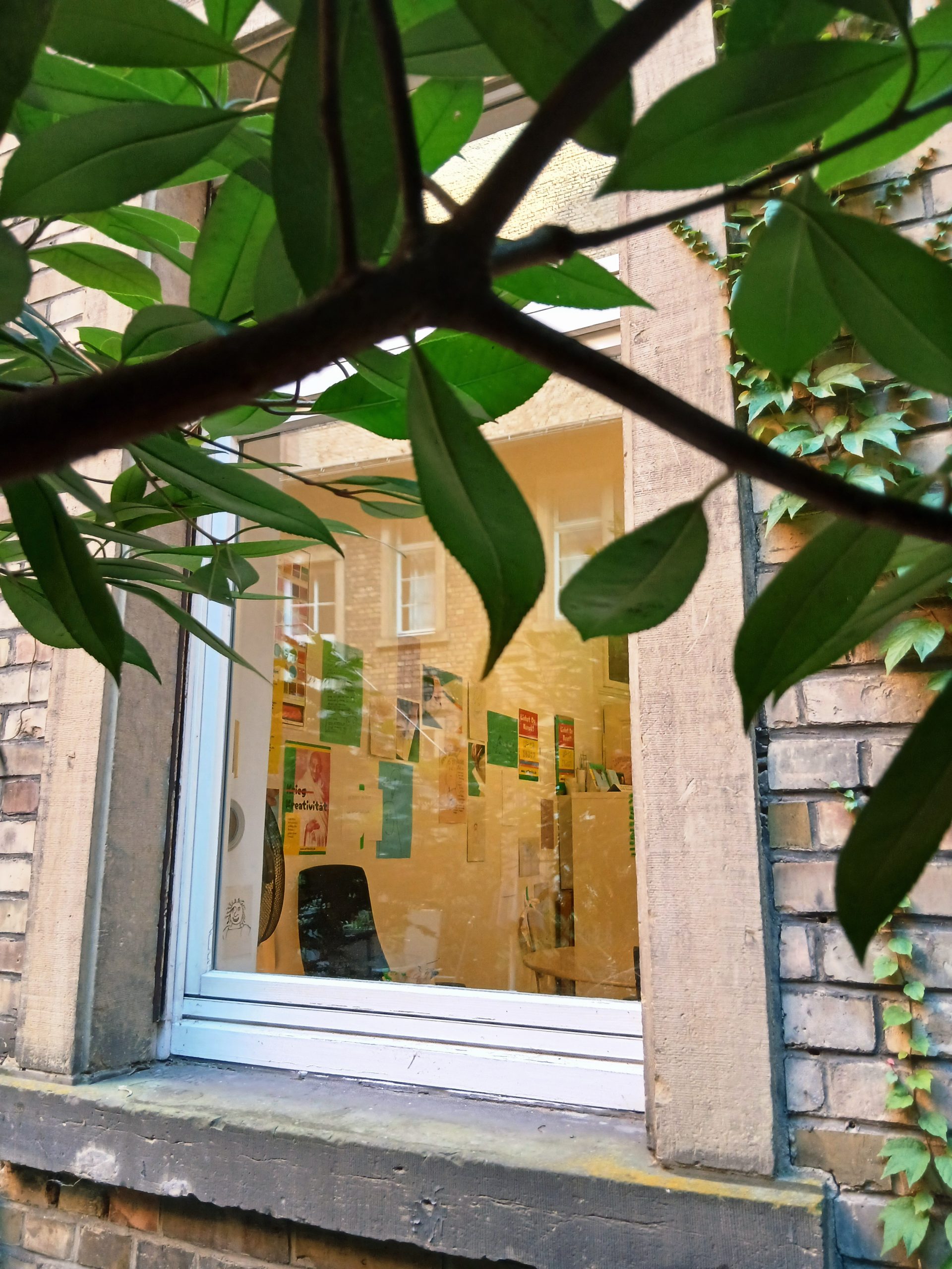 Blick vom begrünten Innenhof in den Kursraum
